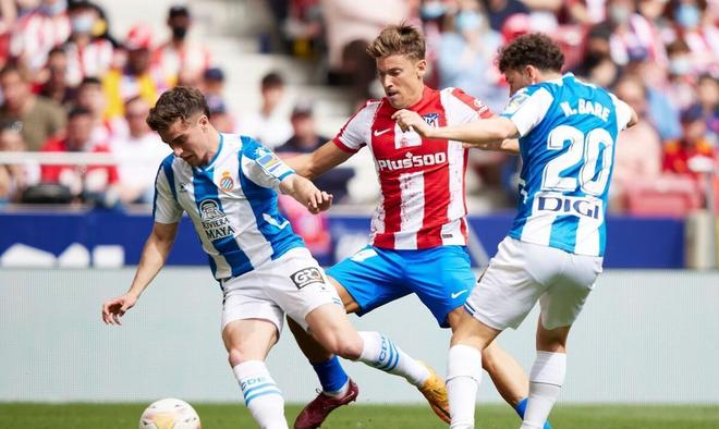 统治力的体 统治力的体