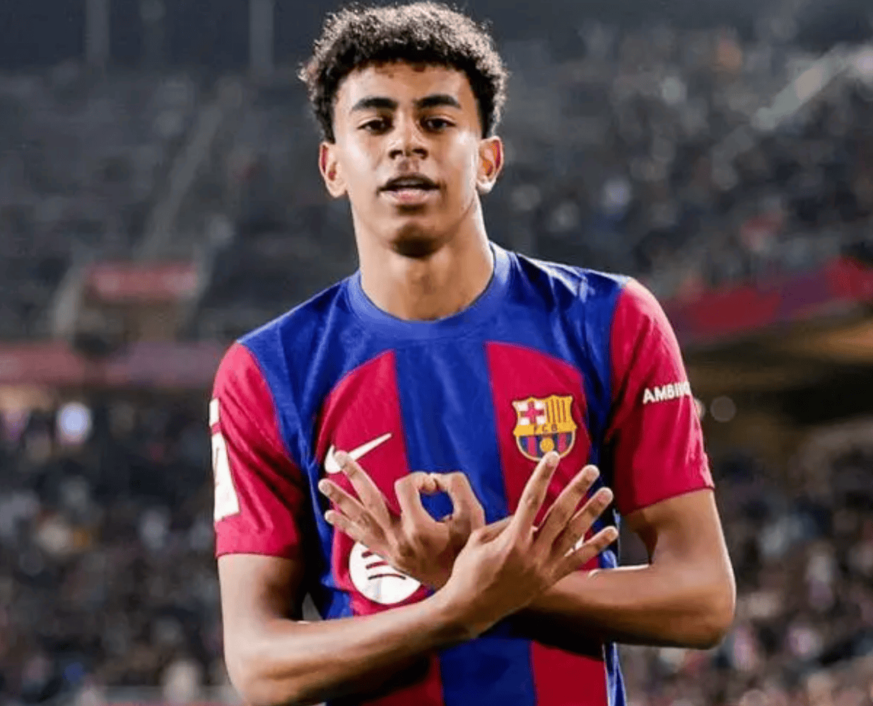 的短生命周 的短生命周